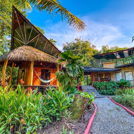 Tree House Beachfront Lodge Puerto Viejo de Talamanca Ngoại thất bức ảnh