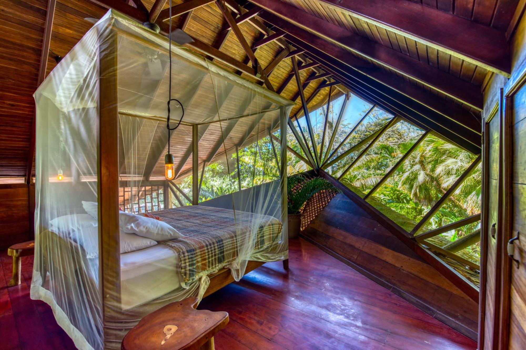 Tree House Beachfront Lodge Puerto Viejo de Talamanca Ngoại thất bức ảnh