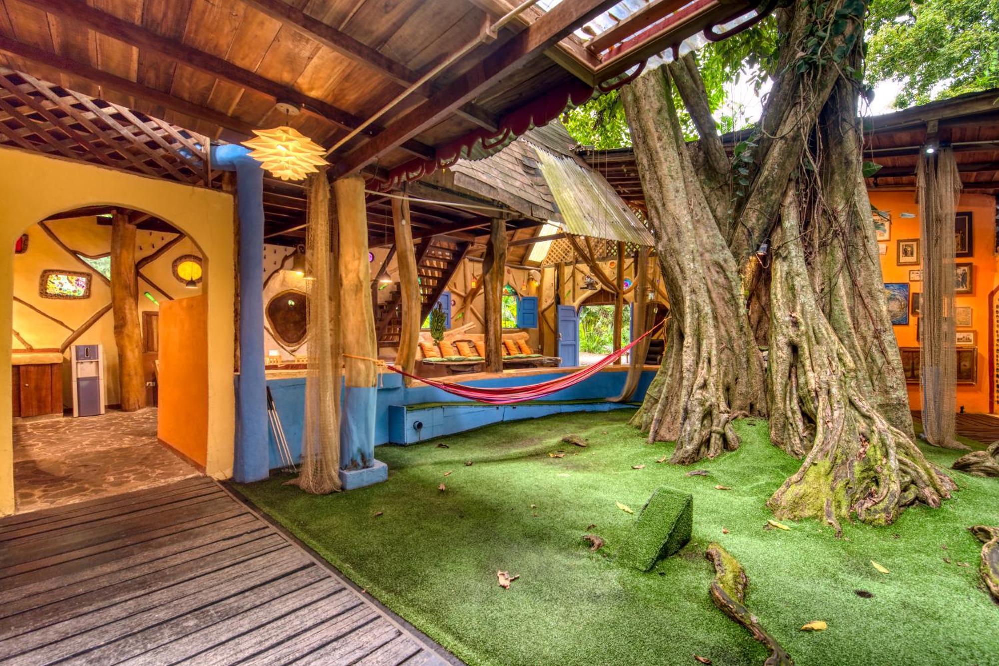 Tree House Beachfront Lodge Puerto Viejo de Talamanca Ngoại thất bức ảnh
