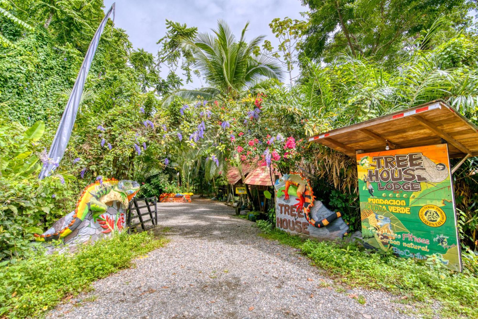 Tree House Beachfront Lodge Puerto Viejo de Talamanca Ngoại thất bức ảnh