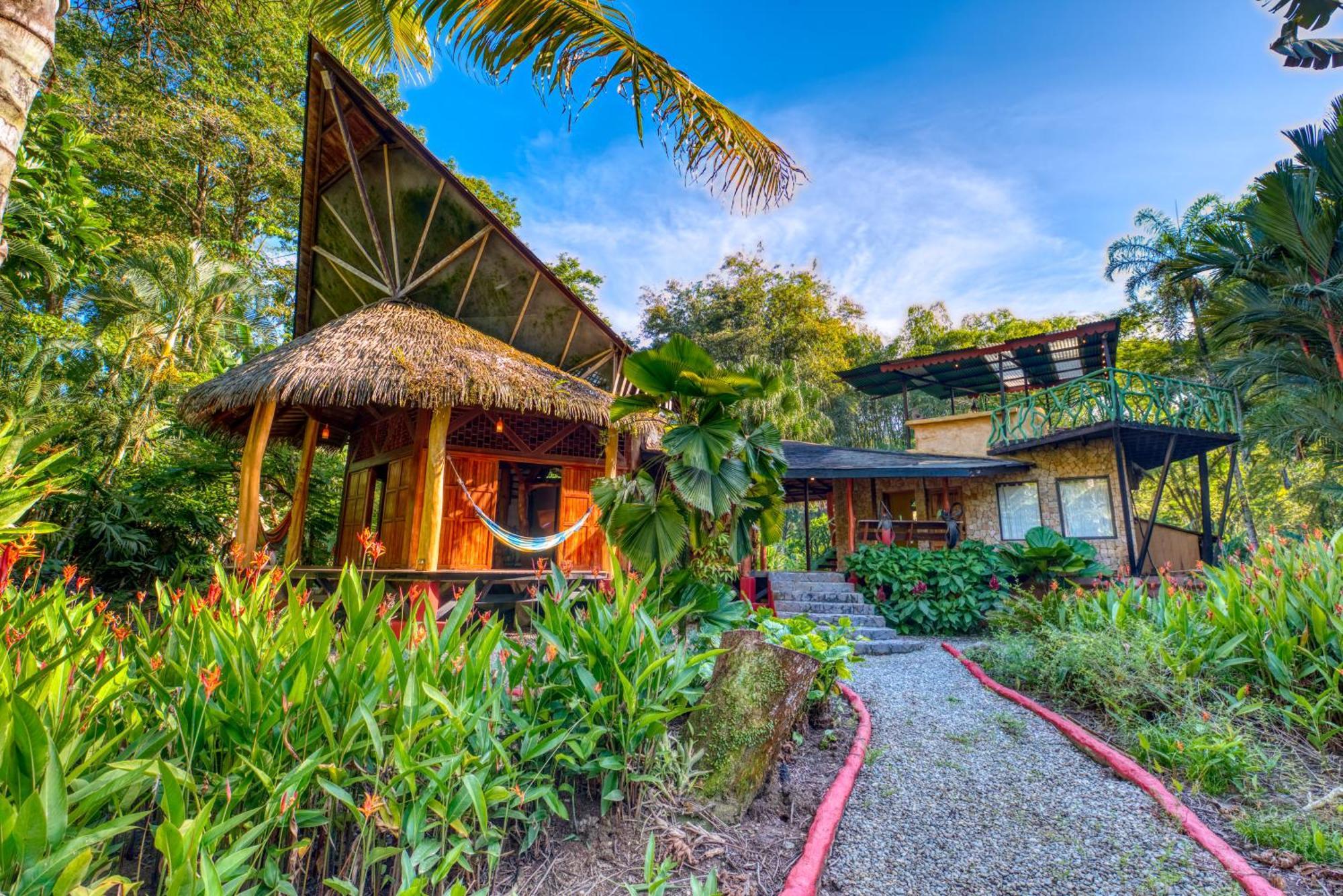 Tree House Beachfront Lodge Puerto Viejo de Talamanca Ngoại thất bức ảnh