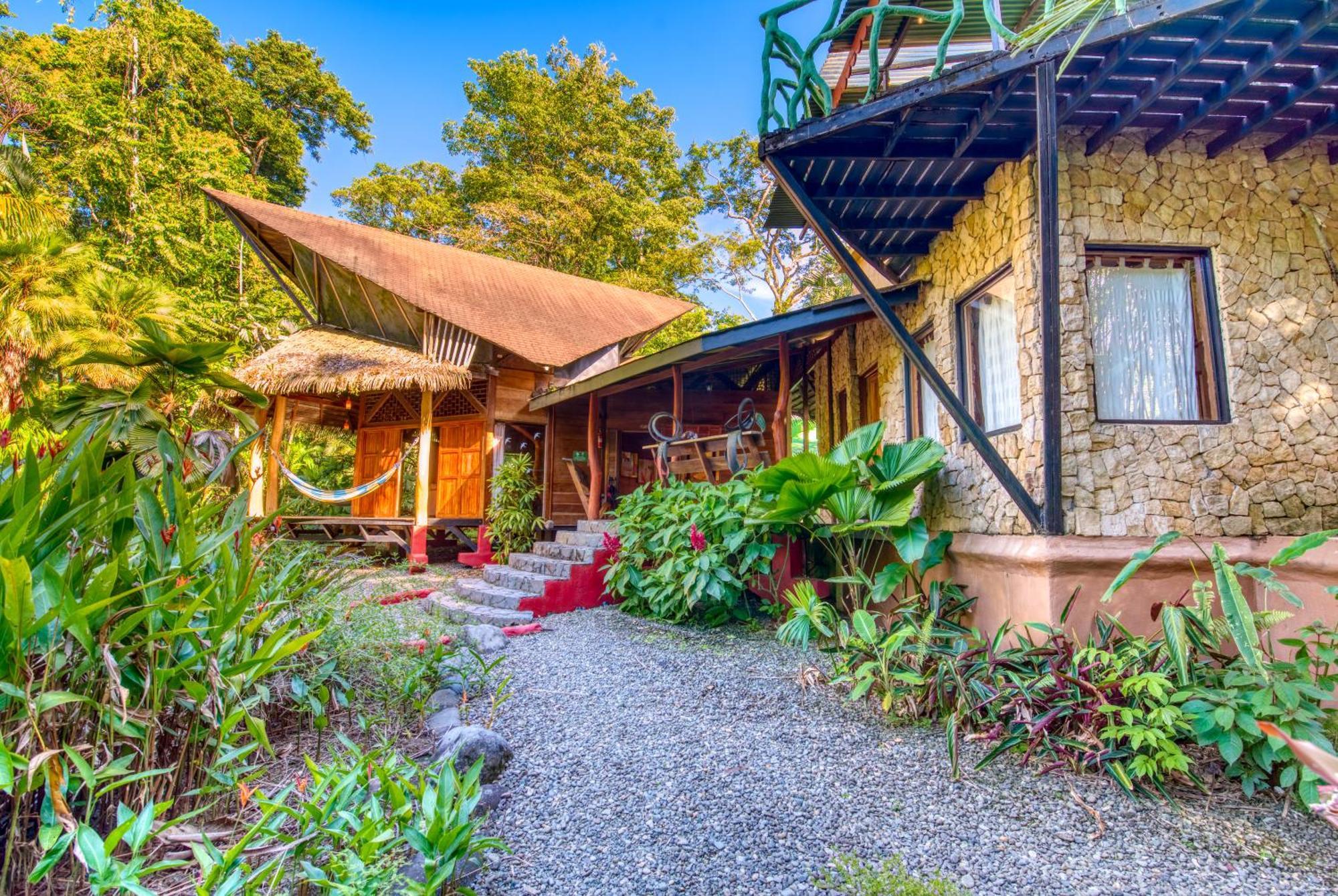 Tree House Beachfront Lodge Puerto Viejo de Talamanca Ngoại thất bức ảnh