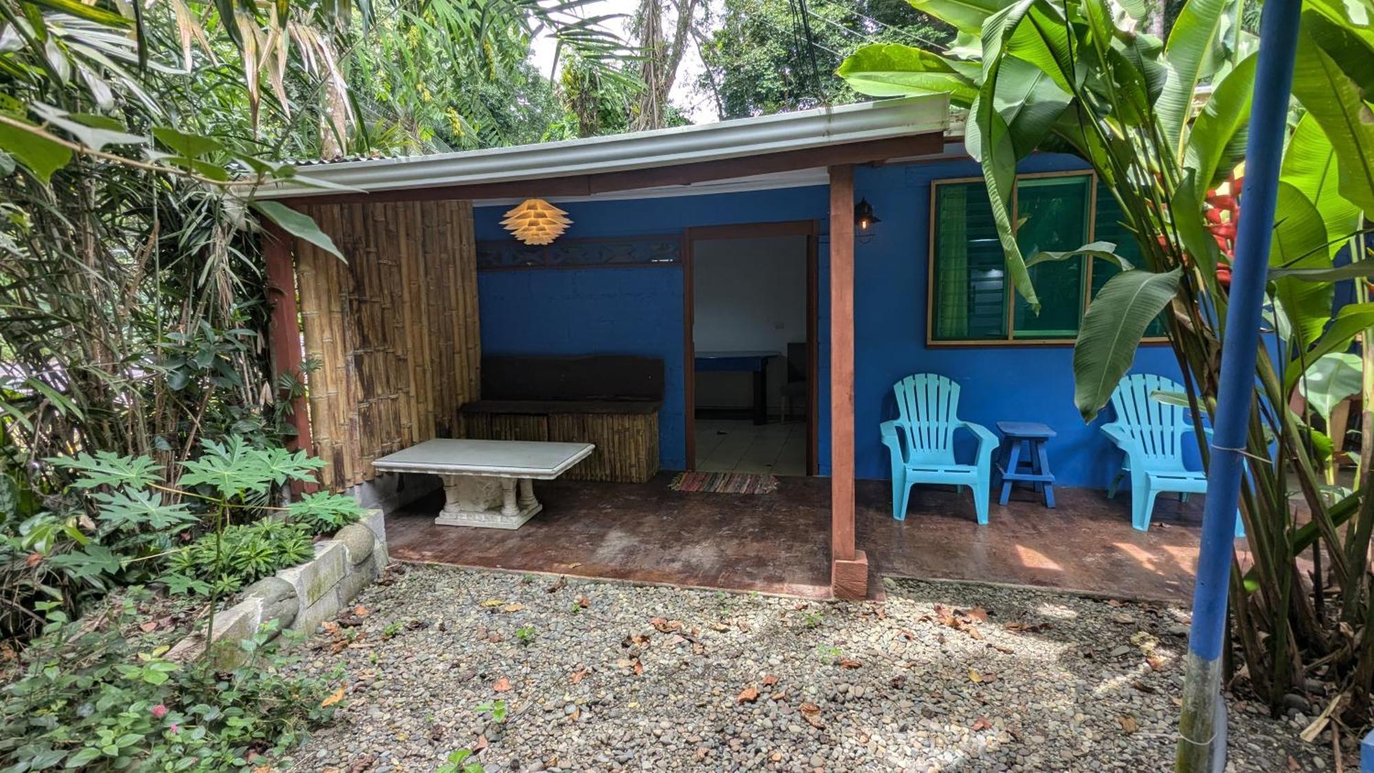 Tree House Beachfront Lodge Puerto Viejo de Talamanca Ngoại thất bức ảnh