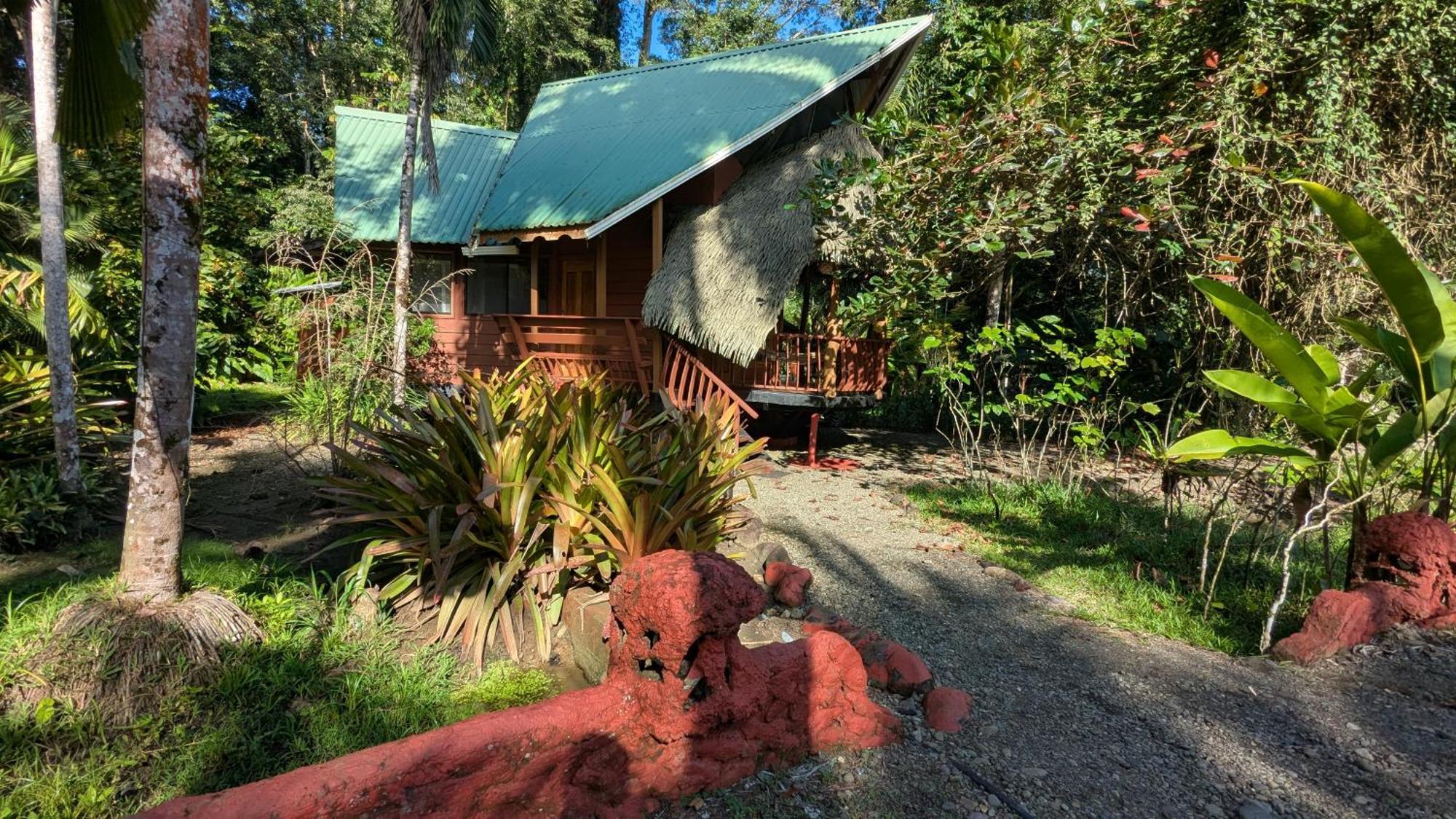 Tree House Beachfront Lodge Puerto Viejo de Talamanca Ngoại thất bức ảnh