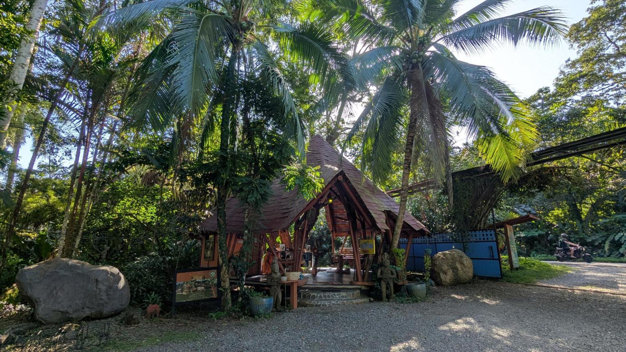 Tree House Beachfront Lodge Puerto Viejo de Talamanca Ngoại thất bức ảnh