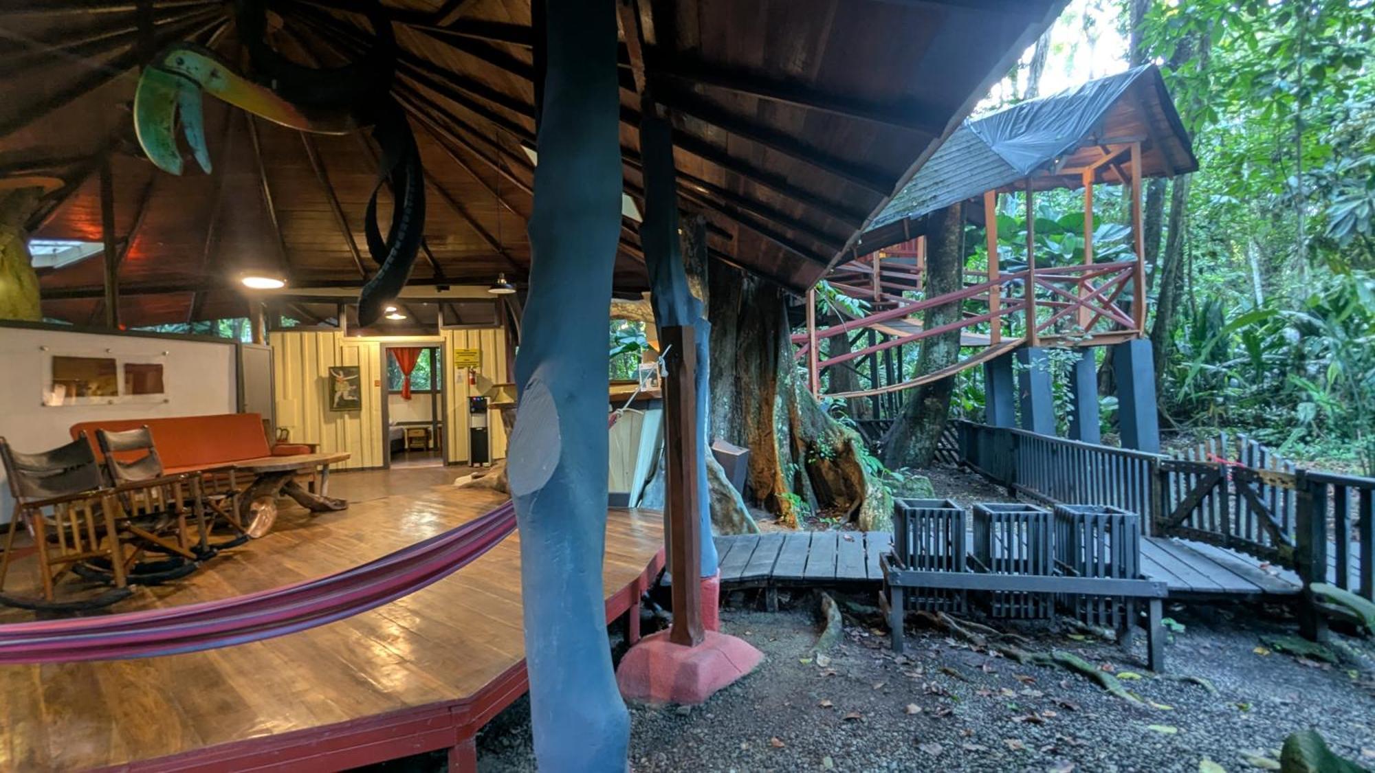 Tree House Beachfront Lodge Puerto Viejo de Talamanca Ngoại thất bức ảnh