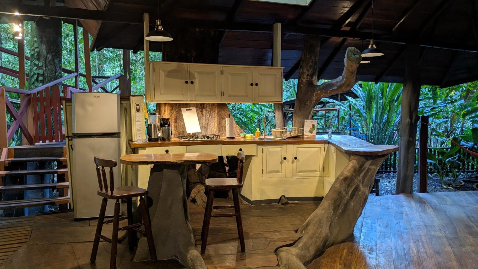Tree House Beachfront Lodge Puerto Viejo de Talamanca Ngoại thất bức ảnh