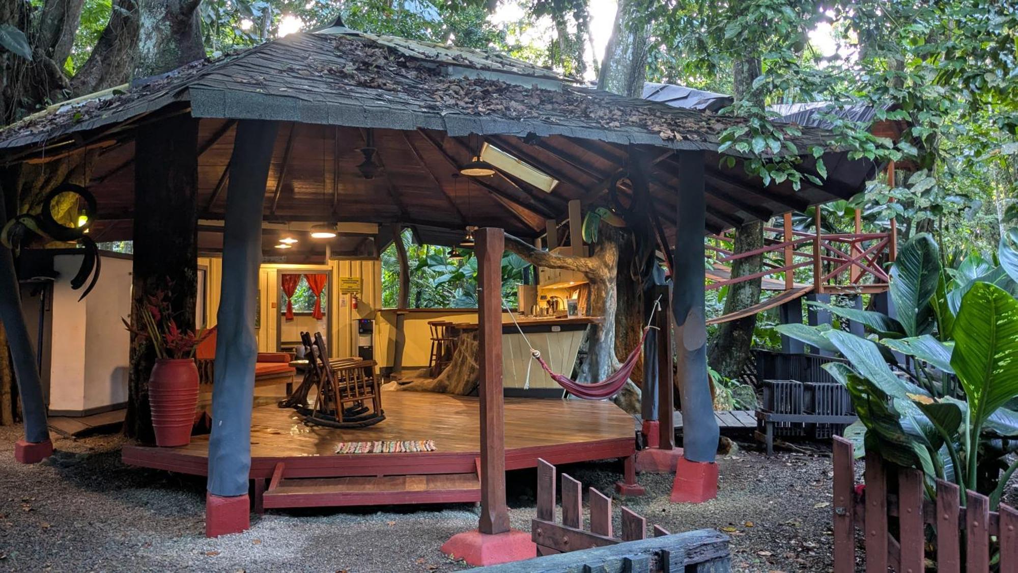 Tree House Beachfront Lodge Puerto Viejo de Talamanca Ngoại thất bức ảnh