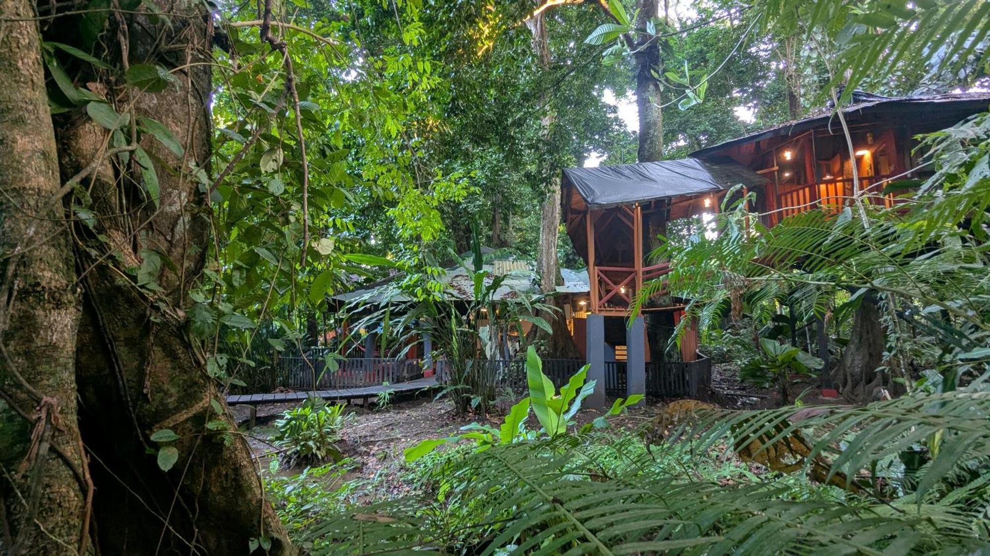 Tree House Beachfront Lodge Puerto Viejo de Talamanca Ngoại thất bức ảnh
