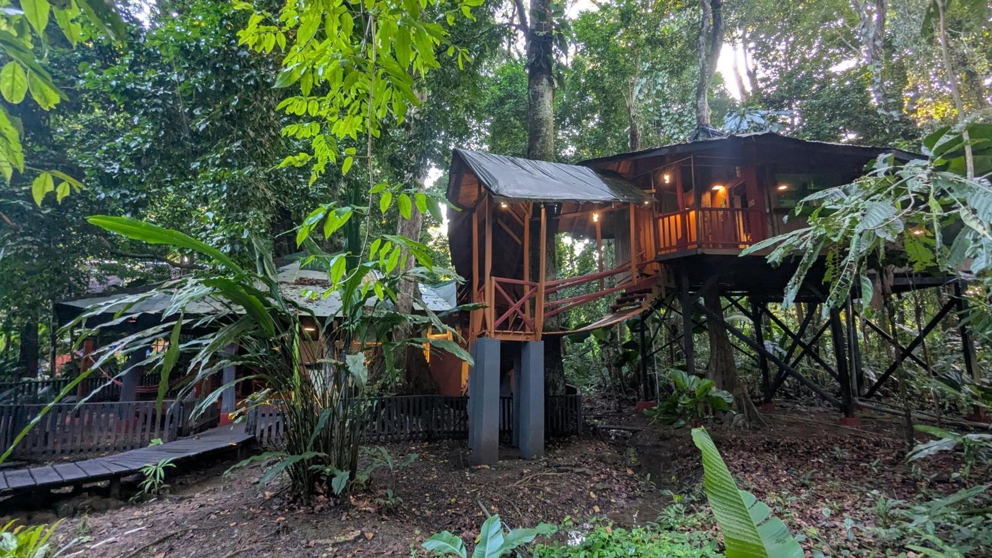 Tree House Beachfront Lodge Puerto Viejo de Talamanca Ngoại thất bức ảnh