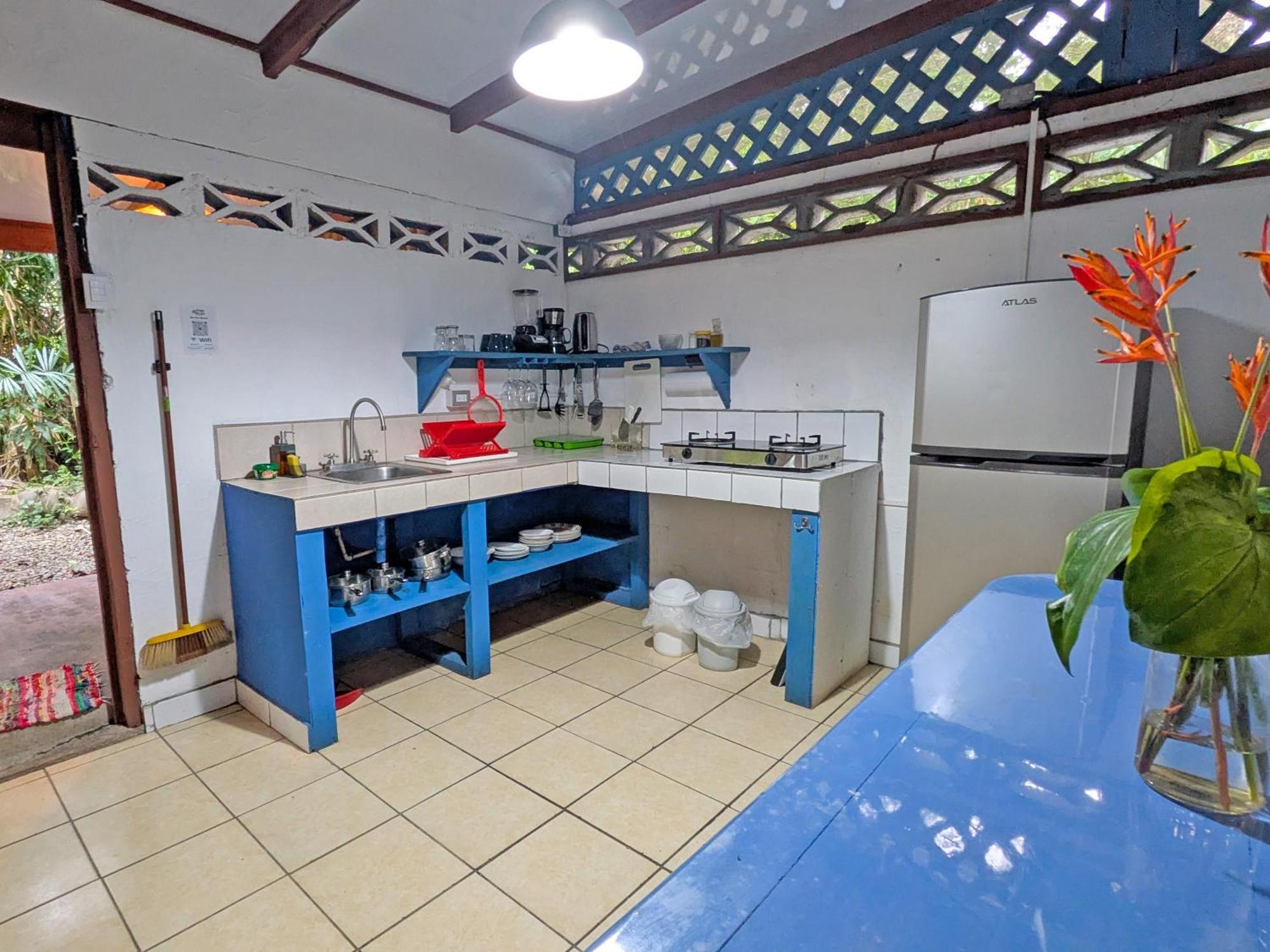 Tree House Beachfront Lodge Puerto Viejo de Talamanca Ngoại thất bức ảnh